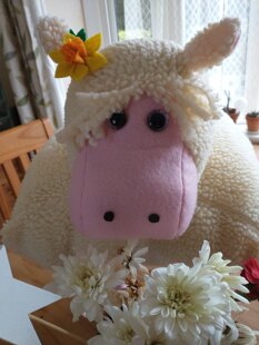 Chardonnay the Sheep