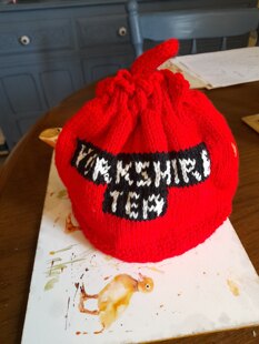 Yorkshire Tea teacosy