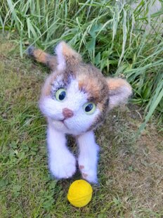 Calico Cat