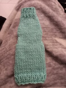 2 Kitten coats for cat charity