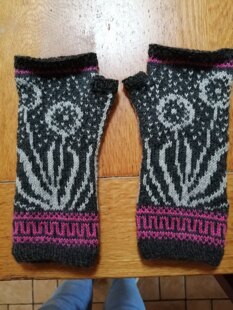 Wishmaker mittens