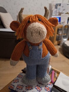 Torran the Highland Cow