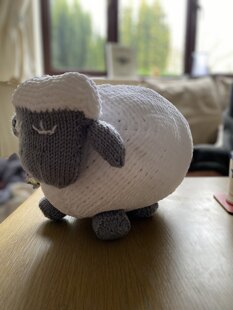 Sleepy Sheep
