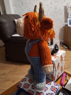 Torran the Highland Cow