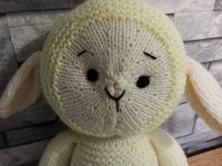 Little lammy