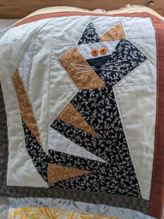 Crazy Cat Quilt 🐱
