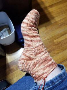 Crookshanks Socks