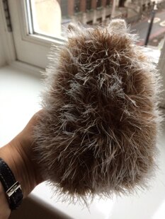 Hedgehog