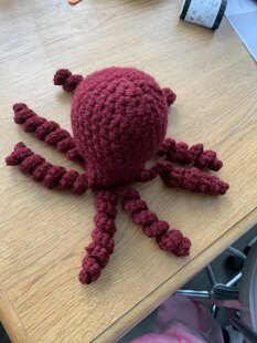 octopus