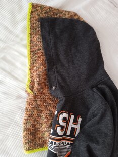 cowl with a hood