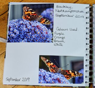 Knitting Journal - September 2019