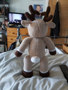 Reindeer Starter