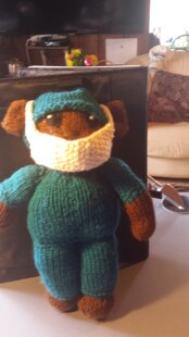Doctor Nurse Bear