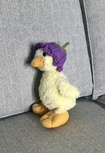 Dorsey Duckling