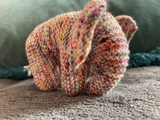 Baby elephant