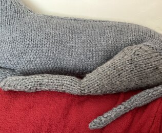 Lifesize Knitted Whippet Dog