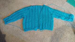 Cece sweater for my sister