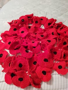 Poppy day extravaganza