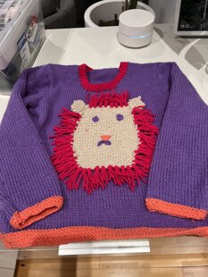 Lion jersey