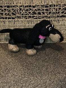 Small Dachshund