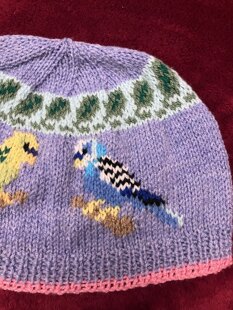 Budgie Bird Hat