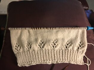 Maddie Cardigan