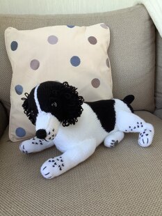 Spaniel Puppy
