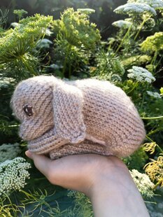 Baby bunny rabbit U⁠^⁠ｪ⁠^⁠U