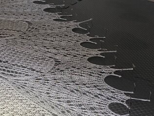 Wild swan shawl