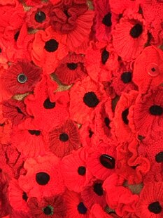 Poppies for church display