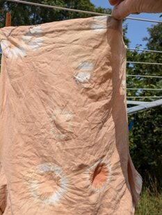 Vegetable dyeing
