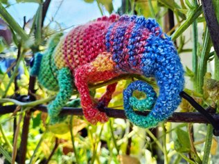 T.C.K. Chameleon