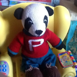 Outfit fit for a Panda