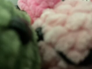 Axolotl and duckie