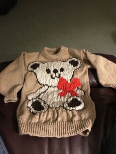 Teddy Jumper