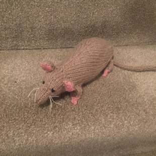 Rats!