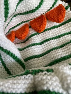 Baby Dino Jacket