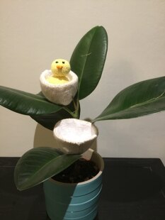 Alan Dart’s chicken and egg