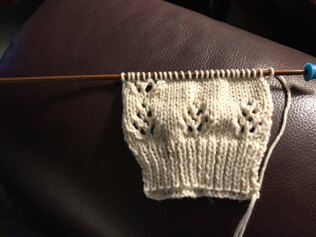 Maddie Cardigan