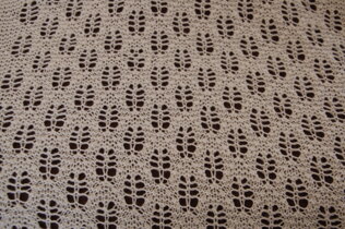 Great Barrier Reef Shawl