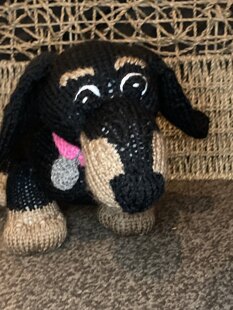 Small Dachshund
