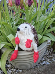 Harley Hedgehog