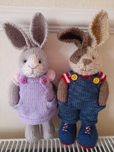 The Bunny Family