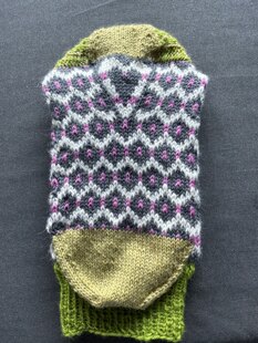 Goy socks