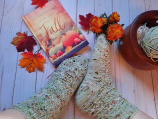 Trimetry Socks in Cozy Cottage