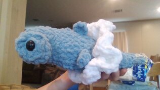 Cute Hammer Head Shark