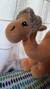 Small waffle stich hat for dolls
