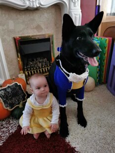 Beauty & The beast Halloween