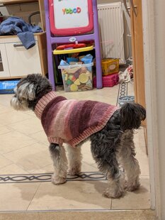 Christmas jumper number two hundred and nineteen