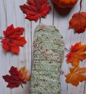 Trimetry Socks in Cozy Cottage